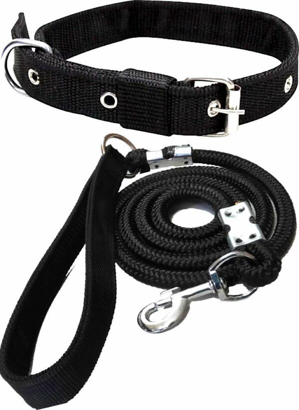 Black belt for dog