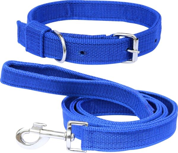 Blue belt for dog