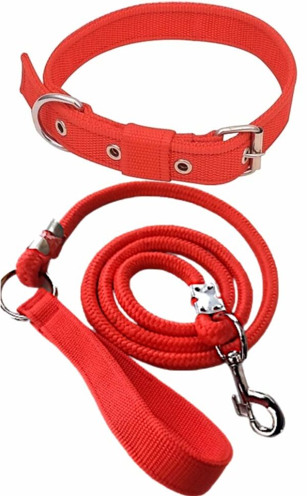 Red belt for dog